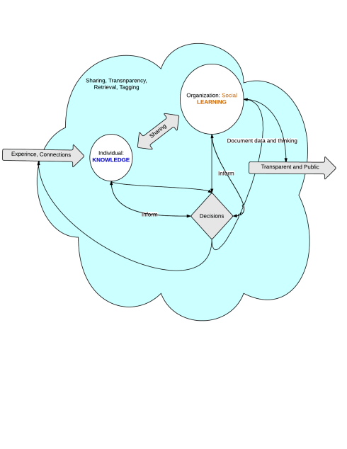 My rather poorly-rendered depiction of knowledge-learning-decision loop. The blue could is the systematic practice.